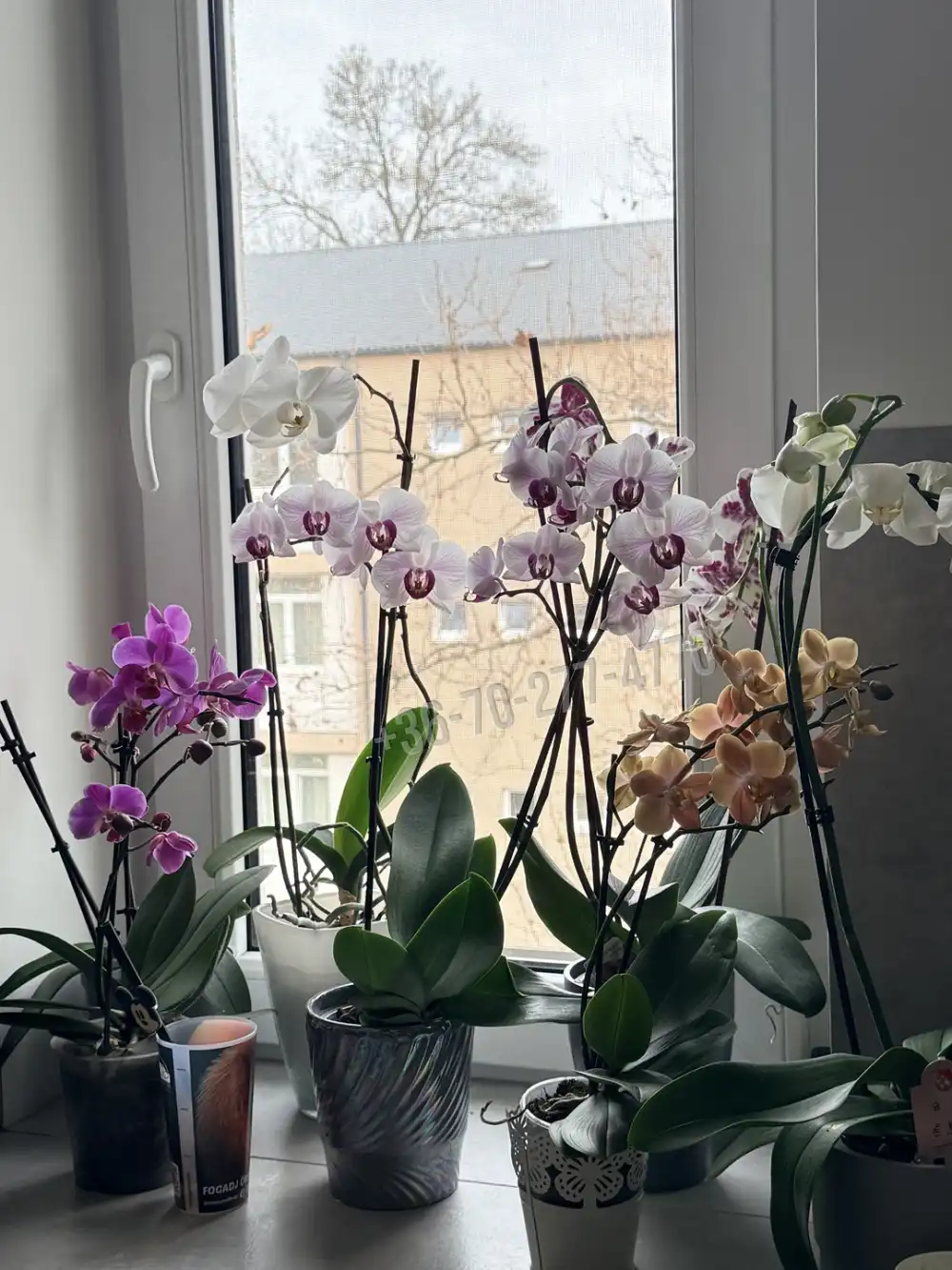 Komárom-Esztergom megye - Oroszlány