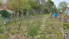 Komárom-Esztergom megye - Pilismarót
