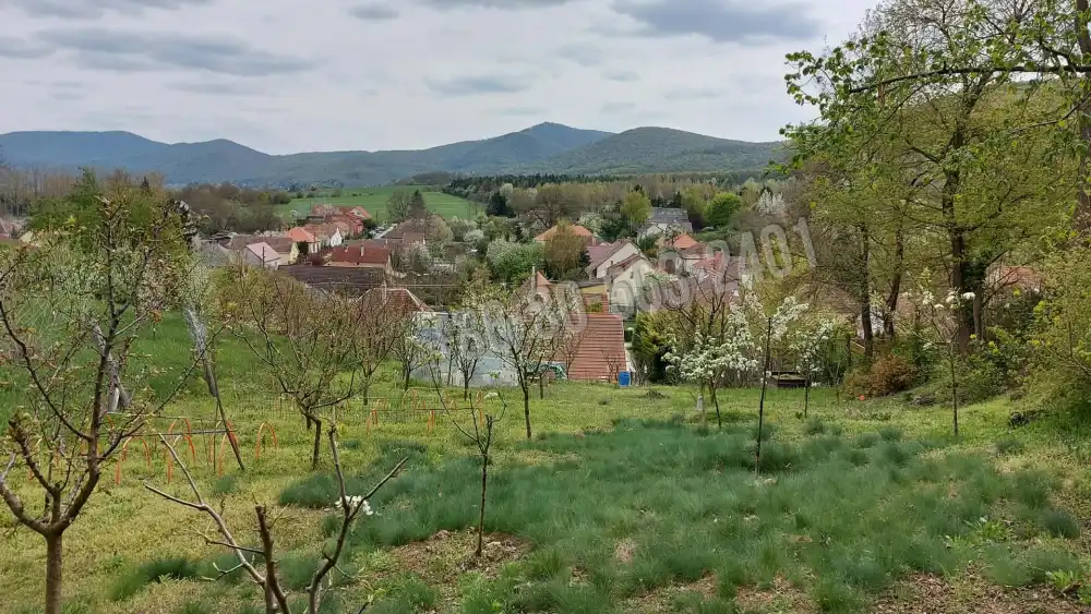 Komárom-Esztergom megye - Pilismarót