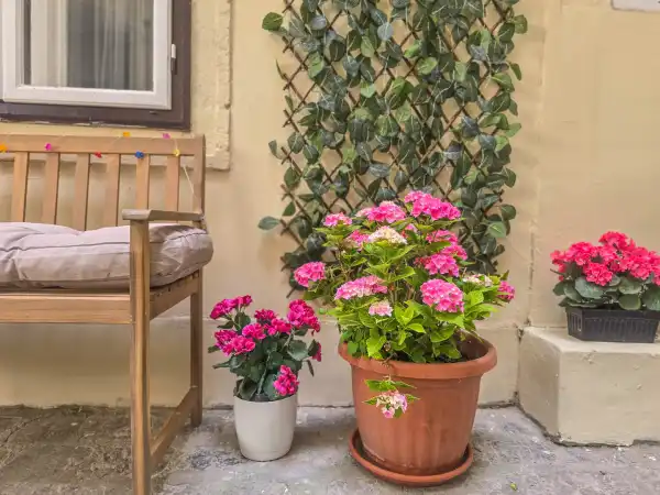 Eladó téglalakás, Sopron 2+2 szoba 79 m² 79.9 M Ft