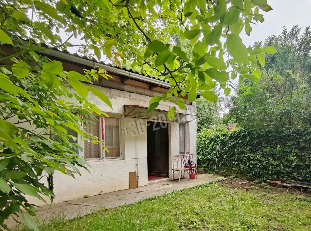 Csongrád megye - Szeged