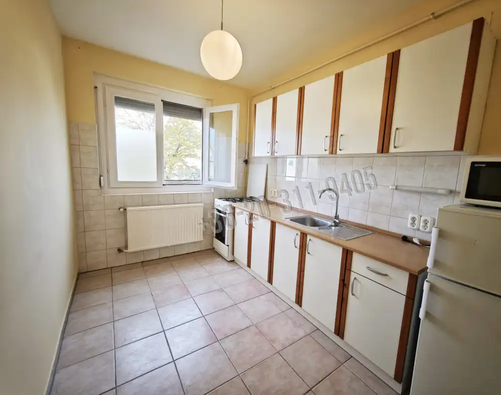 Csongrád megye - Szeged