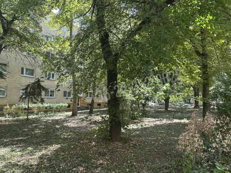 eladó téglalakás, Székesfehérvár