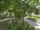 Fejér megye - Székesfehérvár