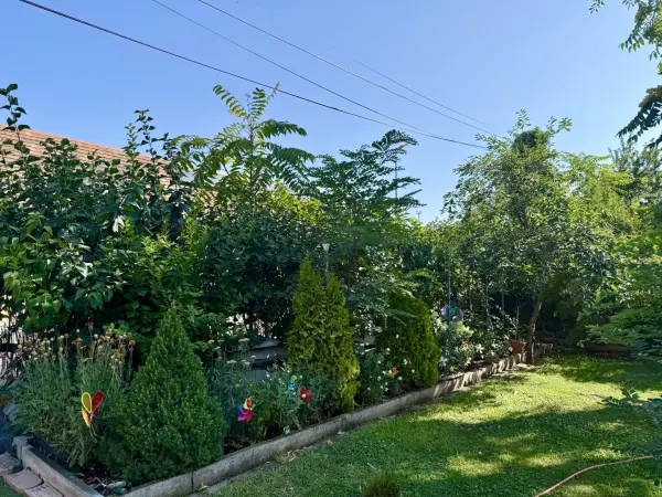 Eladó téglalakás, Székesfehérvár 3 szoba 96 m² 64.9 M Ft