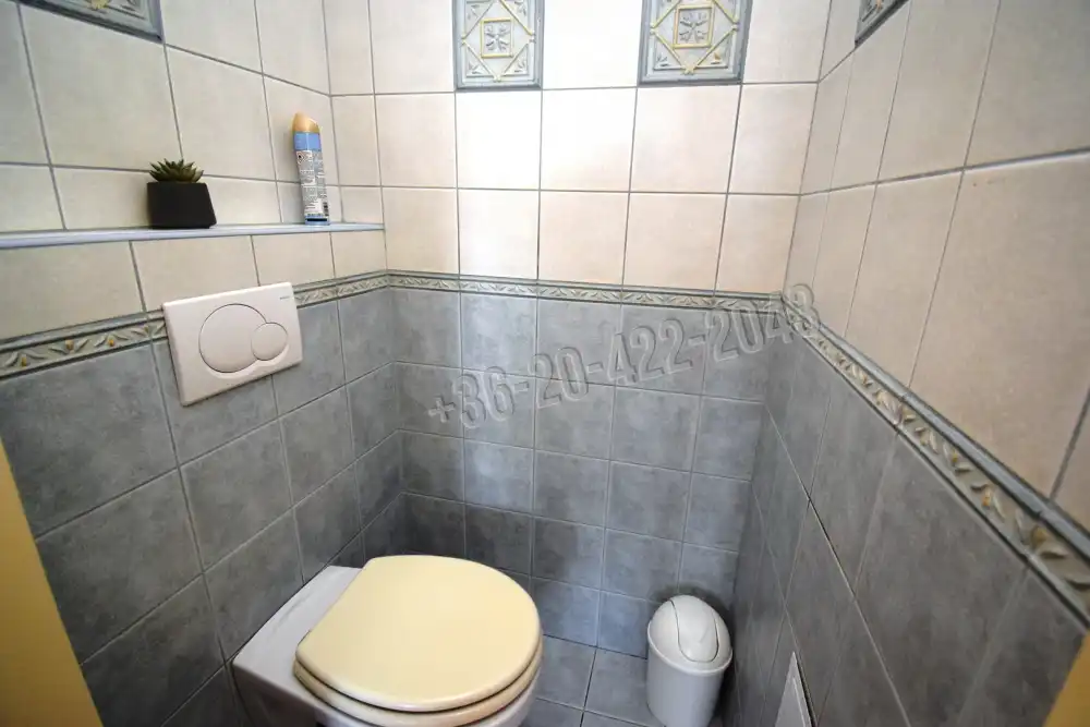 Pest megye - Szigetszentmiklós