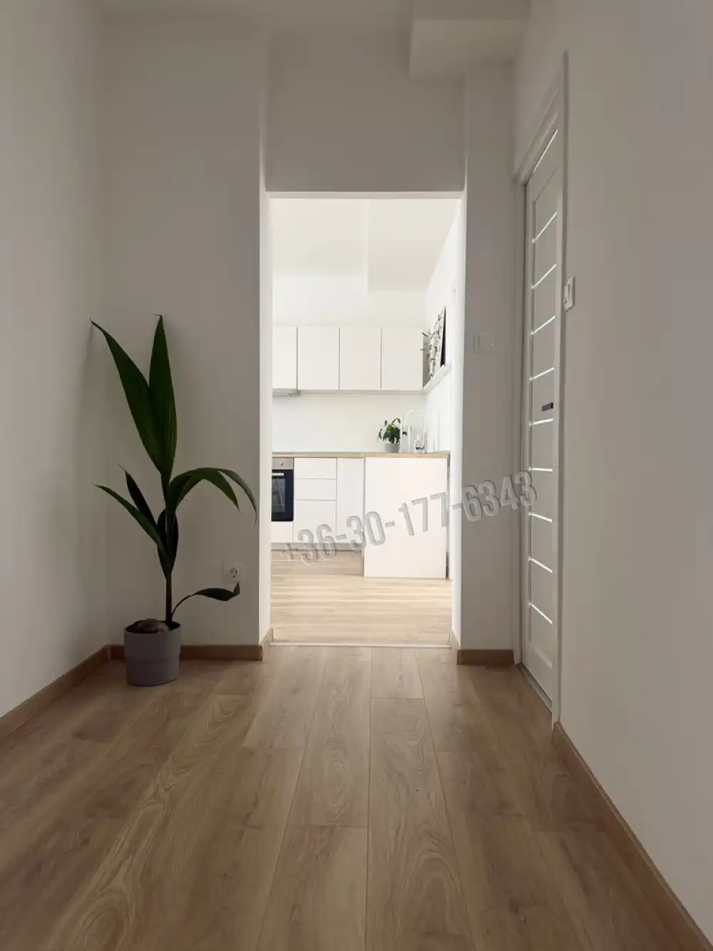 Komárom-Esztergom megye - Tatabánya