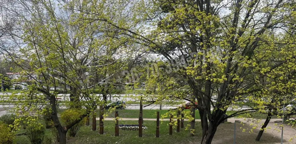 Komárom-Esztergom megye - Tatabánya