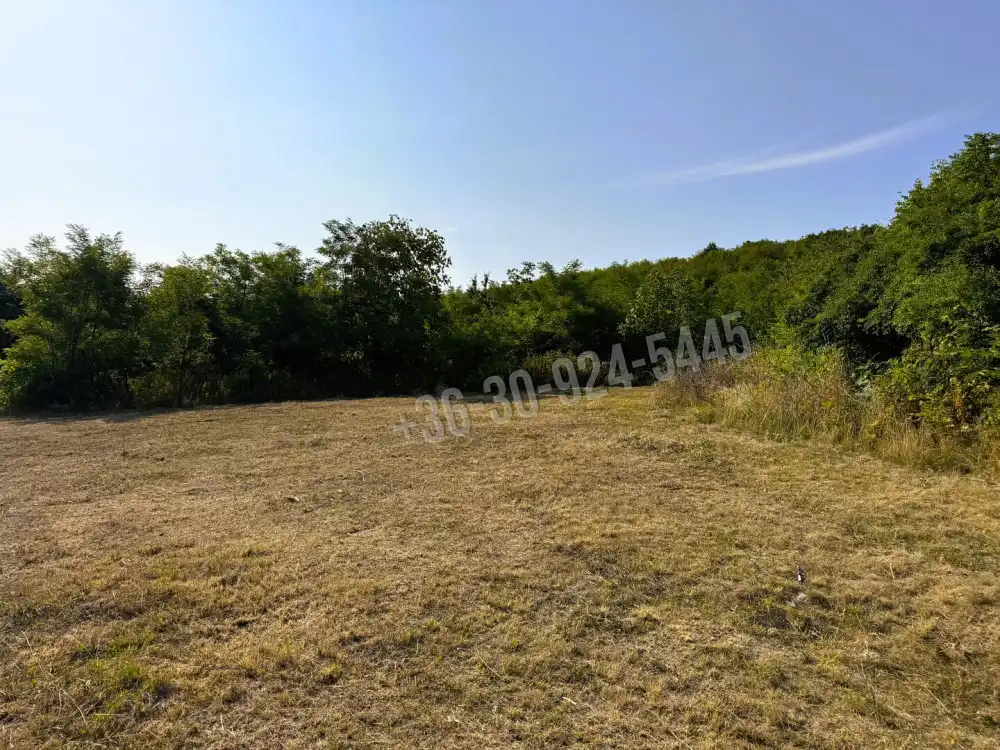 Pest megye - Vácegres