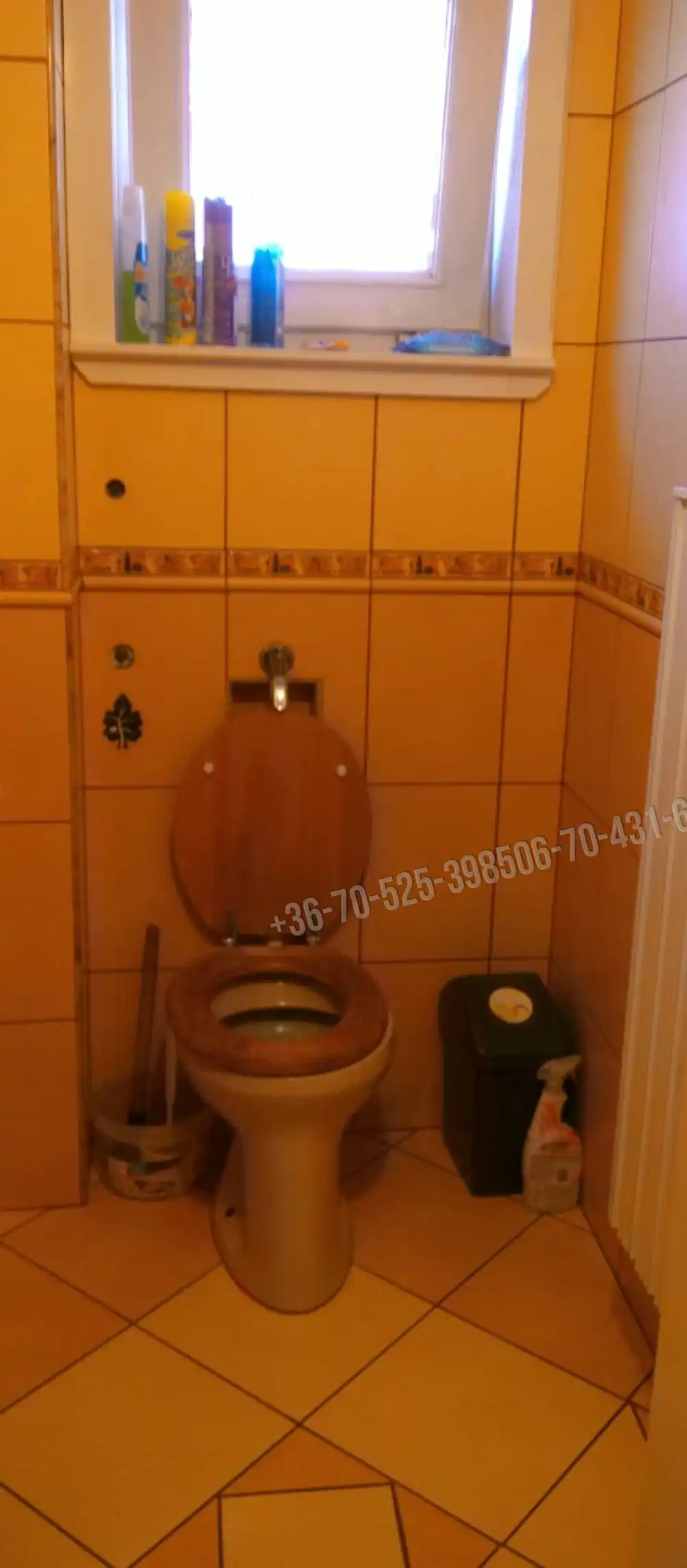 Pest megye - Albertirsa