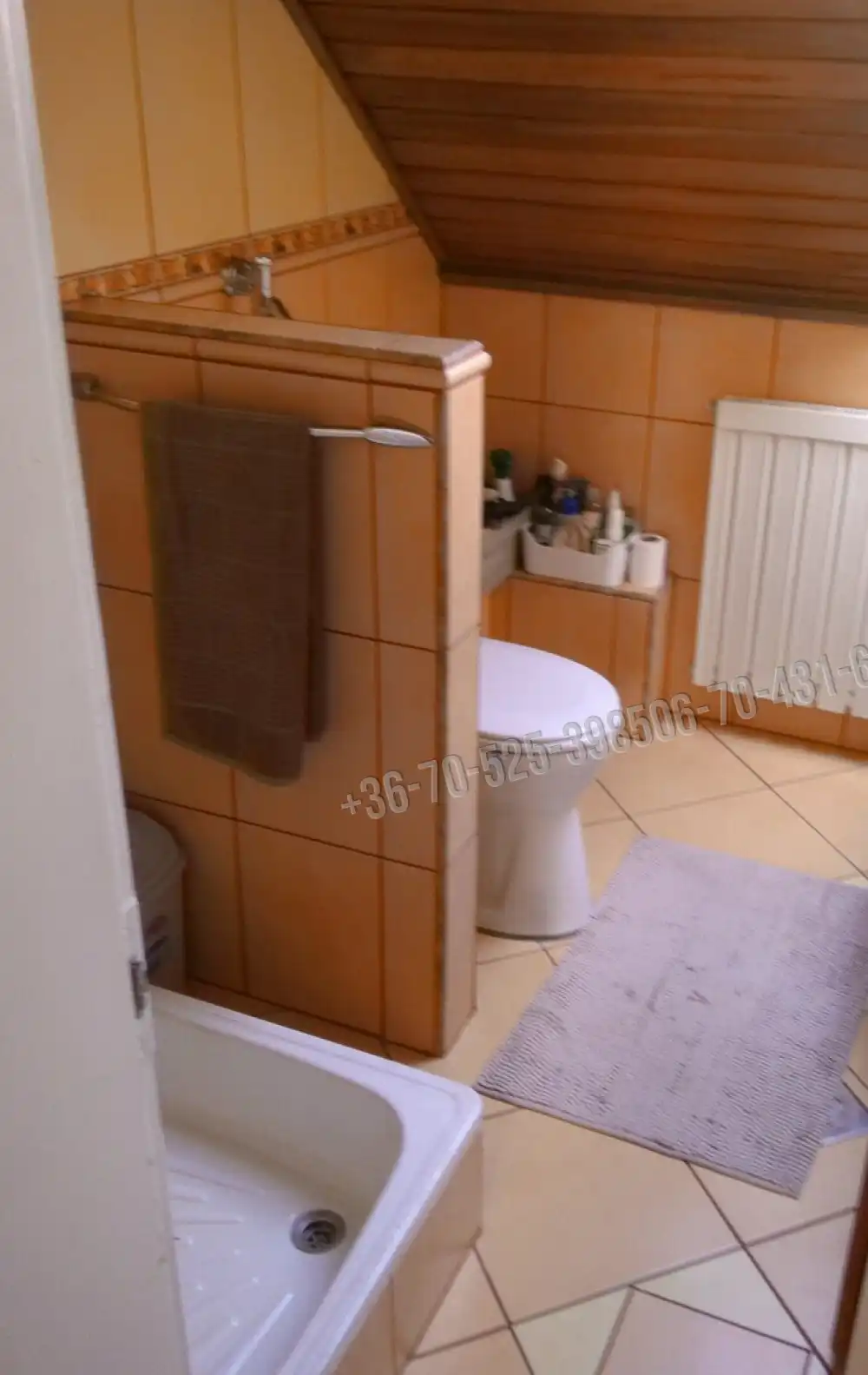 Pest megye - Albertirsa