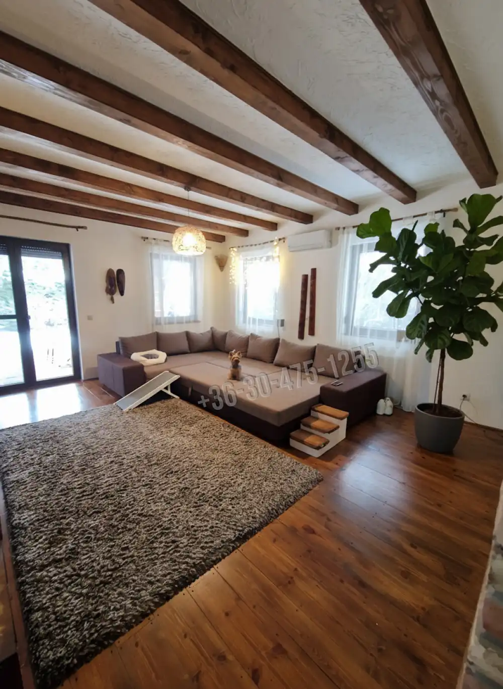 Pest megye - Délegyháza