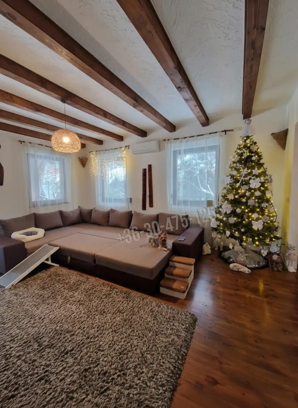 Pest megye - Délegyháza