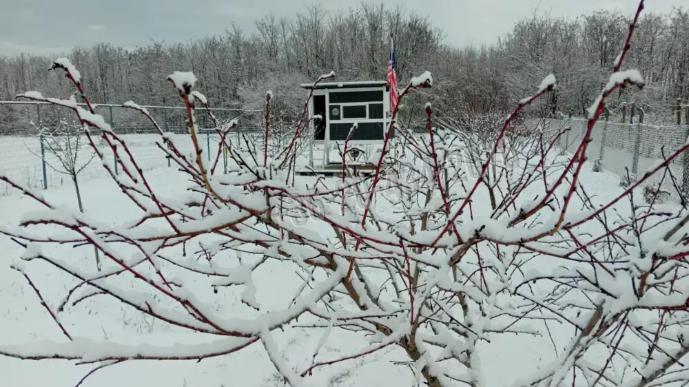 Somogy megye - Siójut