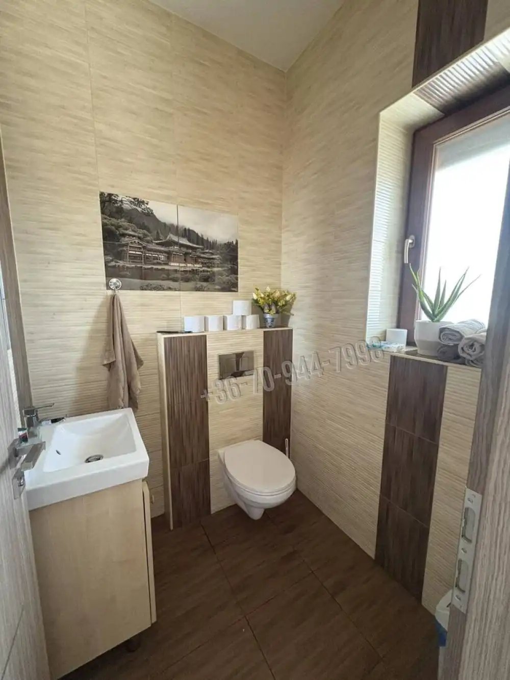 Pest megye - Szigetszentmiklós