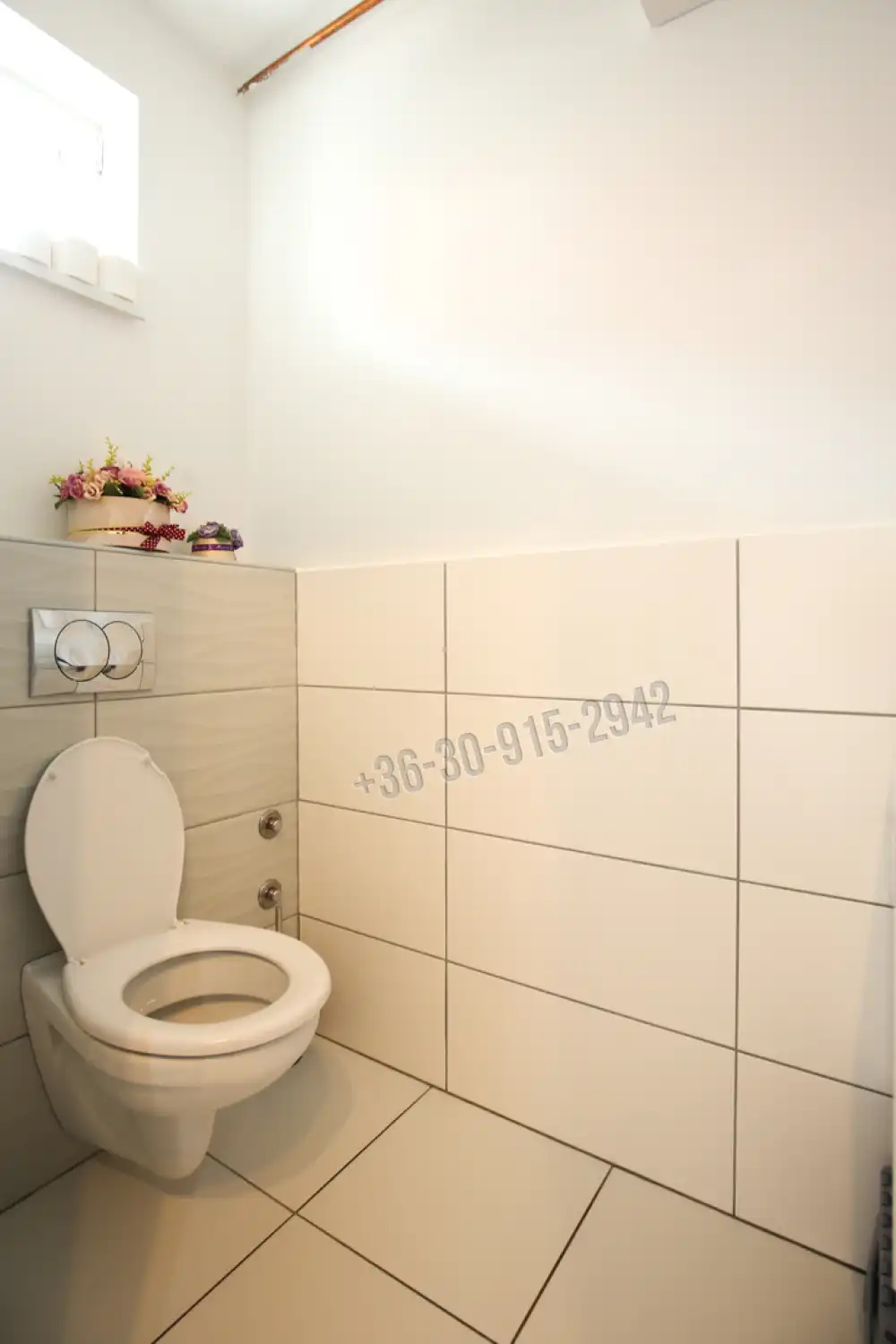 Pest megye - Vác