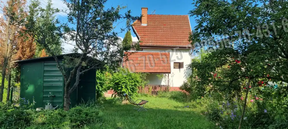 Pest megye - Gomba