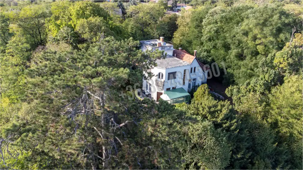 Fejér megye - Bicske